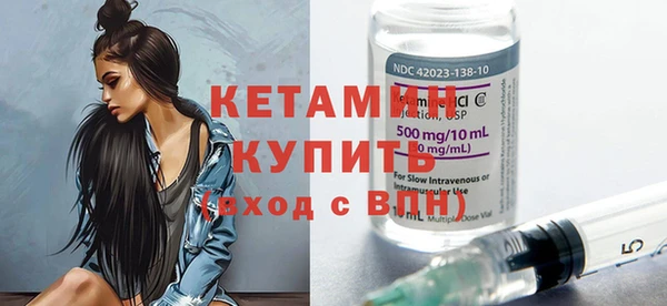 СК Новодвинск