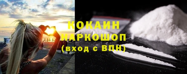стаф Туринск
