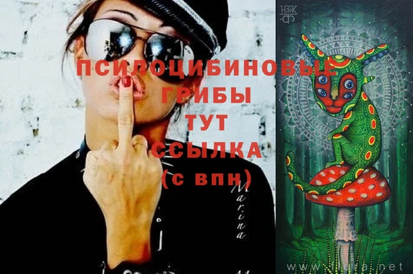 СК Нея
