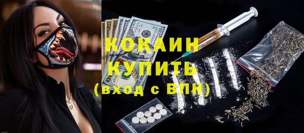 СК Новодвинск
