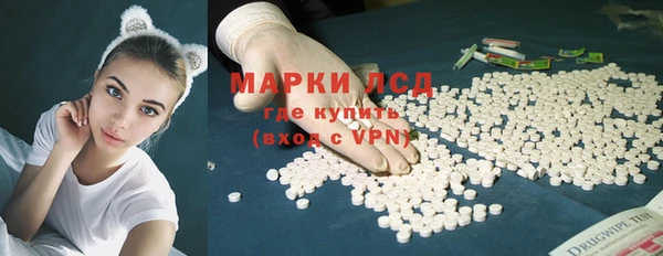 СК Новодвинск