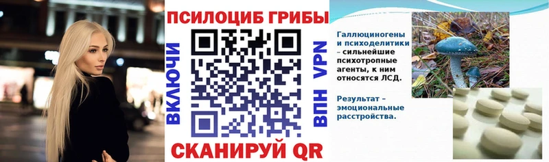 Псилоцибиновые грибы Psilocybine cubensis  Мосальск 