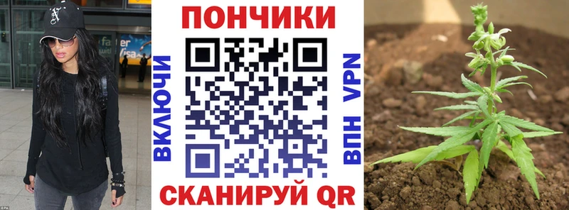 Марихуана тримм  hydra   Мосальск  наркошоп 